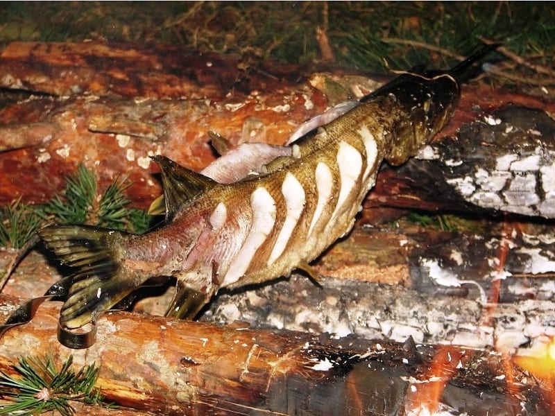 Печёно-копчёная рыба на прутиках