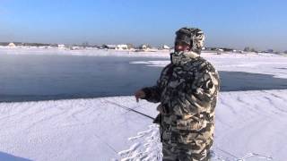 Ловля хариуса зимой по открытой воде + Видео
